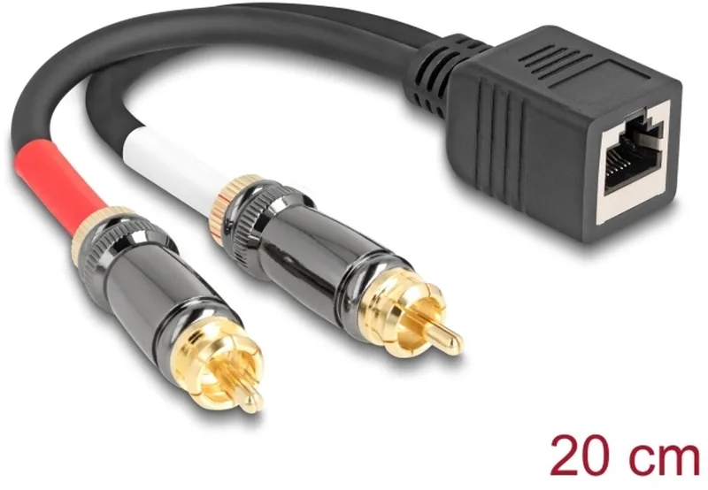 DeLOCK 88172 audio kabel 0,2 m RJ-45 2 x RCA by Delock in Black – product photo