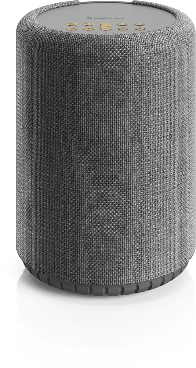 A10 W Smart Multiroom Actieve Luidspreker de Audio Pro en Gris – photo produit
