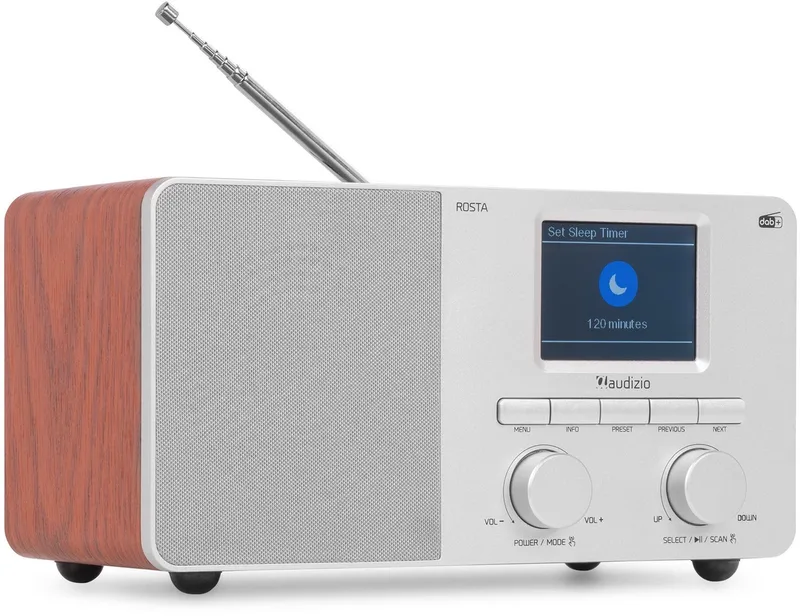 Rosta DAB radio - Digitale radio met Bluetooth - 40W by Audizio in Silver – product photo