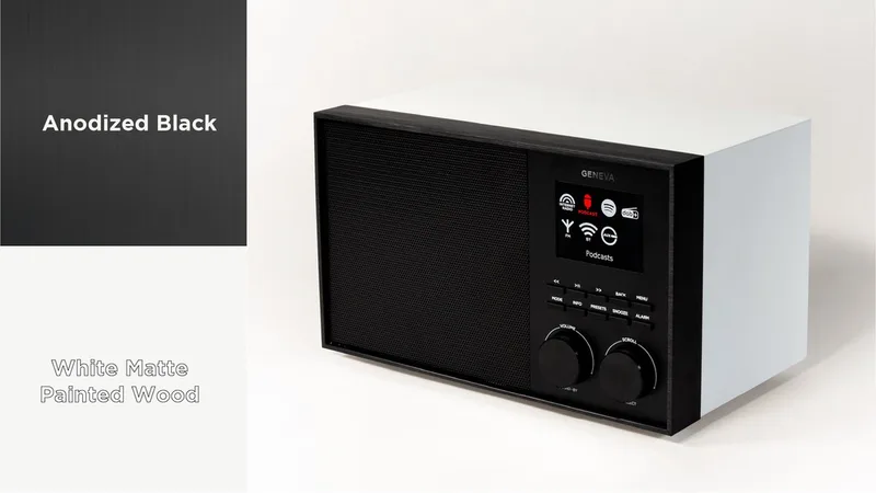 DeCon S internet, DAB+ en FM radio met Spotify en Bluetooth - zwart/wit mat/geverfd hout van Geneva in Zwart Wit – productfoto