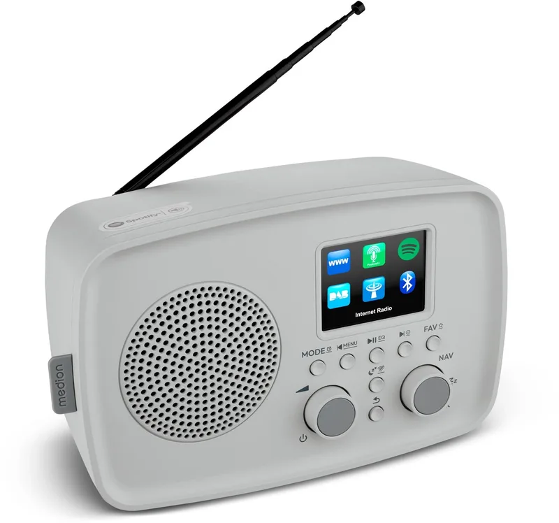 Internetradio met DAB+ IRE-1 (DAB+, wifi, FM, Bluetooth, spatwaterdicht, telescoopantenne, Spotify Connect, wekker, dimmer) van Medion in Grijs – productfoto