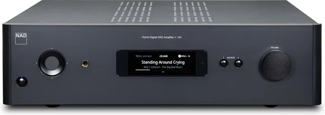 C 399 HybridDigital DAC-versterker