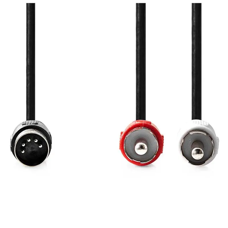 Cagl20200bk10 Din-audiokabel Din 5-pins M-2x Rca M Vernikkeld 1 M de Nedis – photo produit 2 sur 3