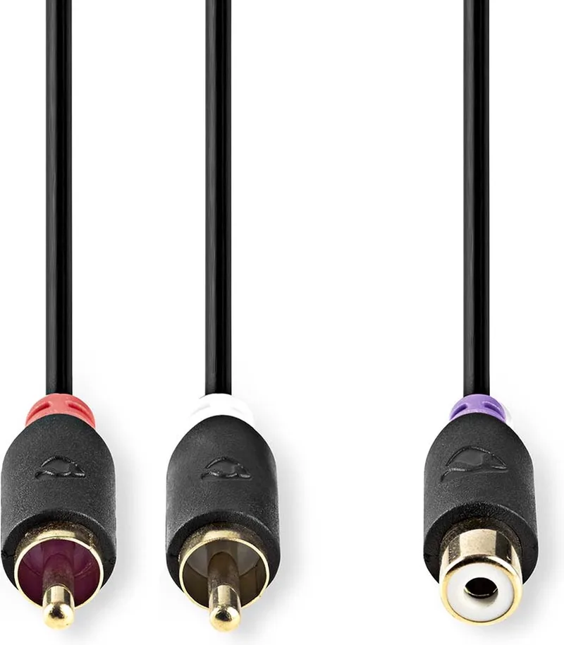 Stereo-Audiokabel - 2x RCA Male - RCA Female - Verguld - 0.20 m - Rond - Doos från Nedis i Antracit – produktbild