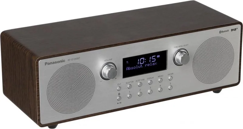 RF-D100BT Draagbaar Digitaal Grijs radio van Panasonic in Bruin – productfoto