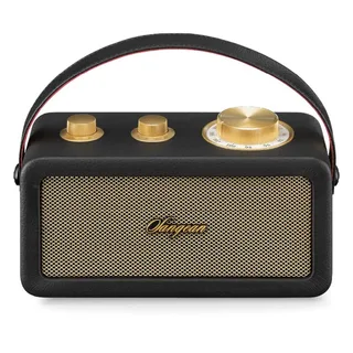 Ra-101 Draagbare Radio van Sangean – productfoto 2 van 6