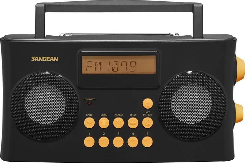 Vocal 170 - PR-D17 - FM Radio voor Slechtzienden - Draagbare Radio met AM en FM van Sangean in Zwart – productfoto