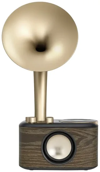 WR-45X Gold Radio VHF (FM) AUX, Bluetooth Oplaadbaar Zwart, Goud by Sangean in Black, Gold – product photo 3 of 3