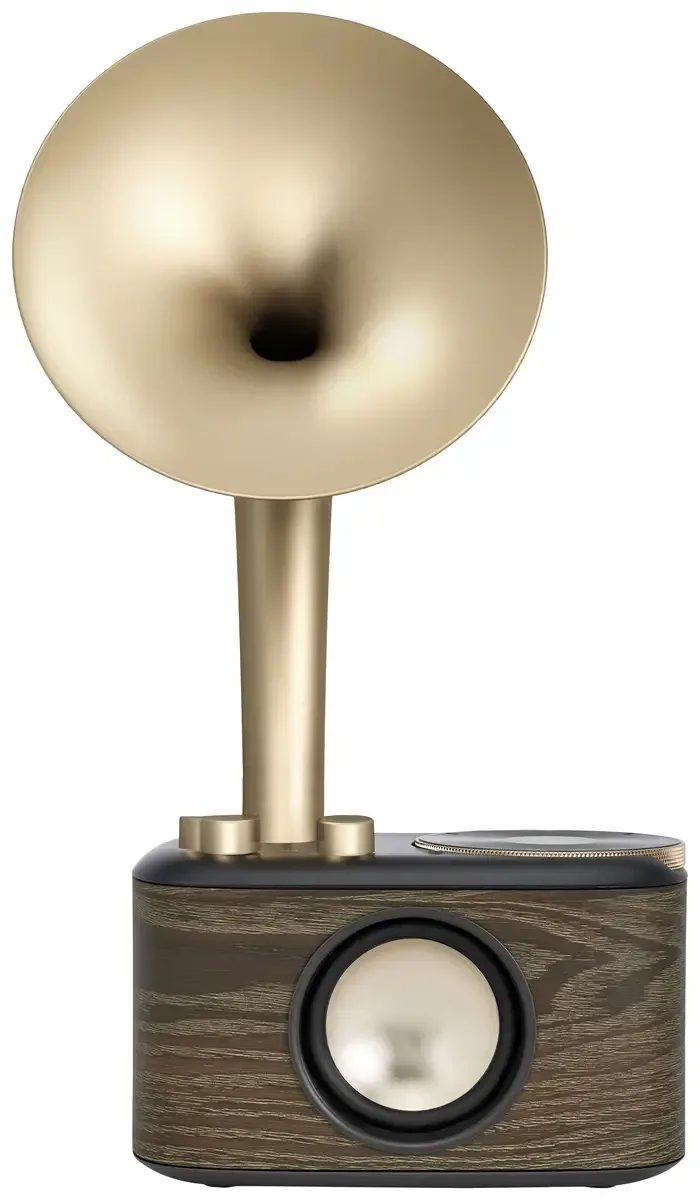 WR-45X Gold Radio VHF (FM) AUX, Bluetooth Oplaadbaar Zwart, Goud by Sangean in Black, Gold – product photo 3 of 3