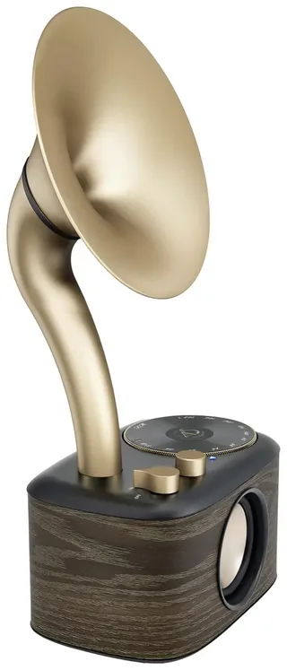 WR-45X Gold Radio VHF (FM) AUX, Bluetooth Oplaadbaar Zwart, Goud by Sangean in Black, Gold – product photo 1 of 3