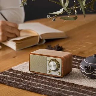 Wr-7 Plus Draagbare Radio by Sangean – product photo 6 of 6