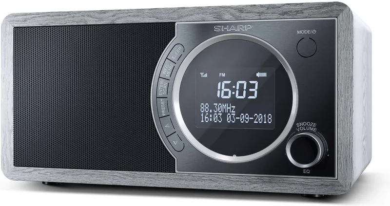 DR-450(GR) DAB+ - FM radio - Bluetooth by Sharp in Grey – product photo