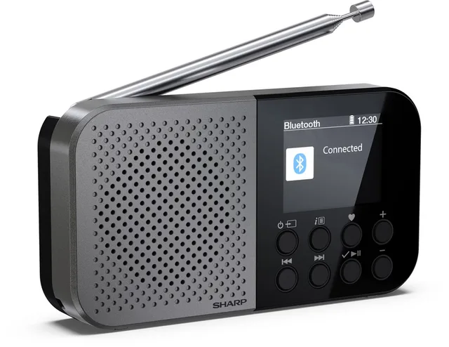 DR-P520(GY) Osaka Portable DAB+ en FM radio met bluetooth - storm