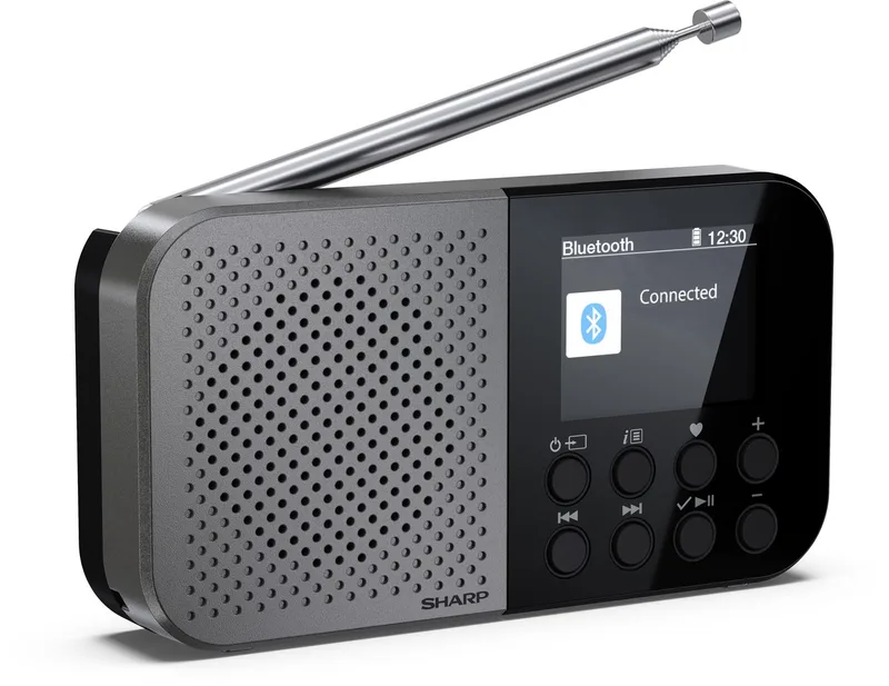 DR-P520(GY) Osaka Portable DAB+ en FM radio met bluetooth - storm van Sharp in Grijs – productfoto 1 van 2