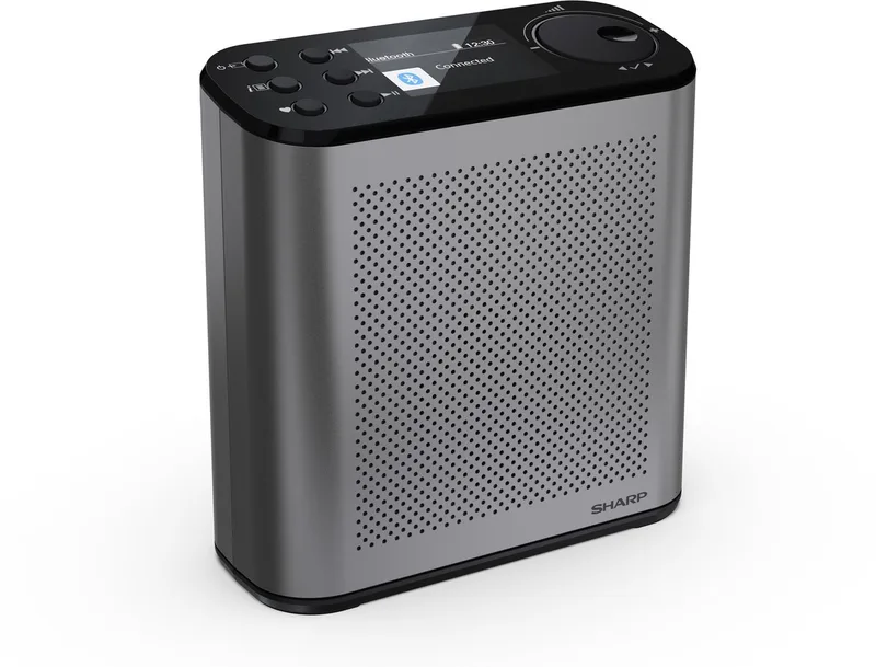 DR-P530 Osaka Portable DAB+ en FM radio met bluetooth - storm by Sharp in Grey – product photo