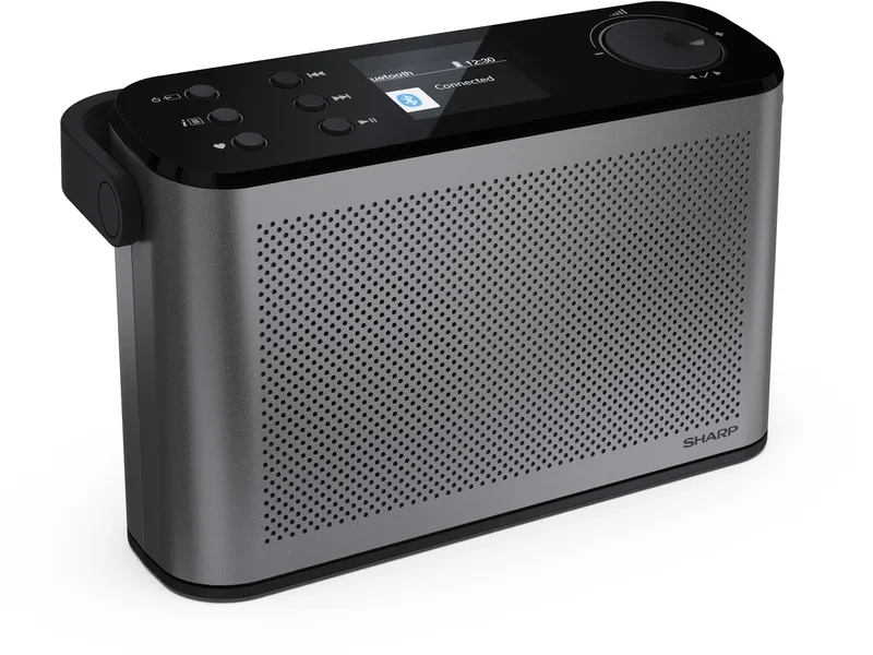 DR-P540(GY) Osaka Stereo portable DAB+ en FM radio met bluetooth - storm by Sharp in Grey – product photo