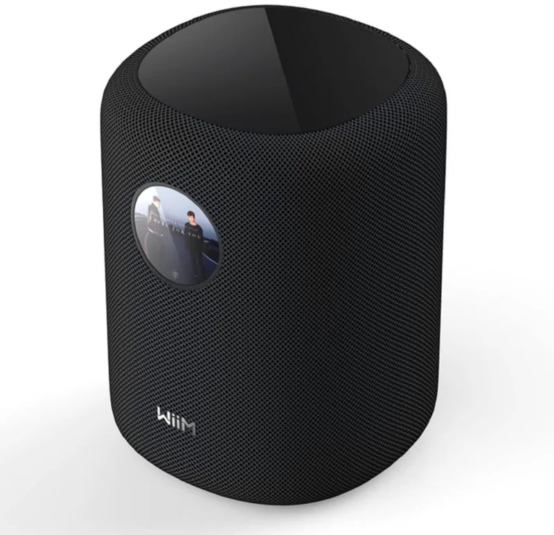 Sound All-in-One Luidspreker by WiiM in Black – product photo